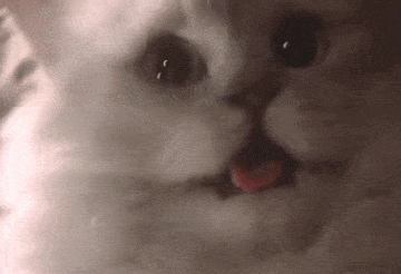 a8ef6380141721712403548099_700wa_0