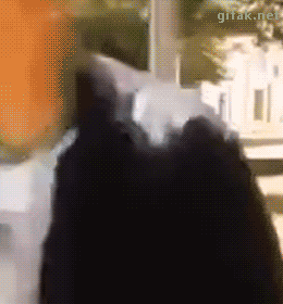 tumblr_o1objkhsD31ukldkho1_400