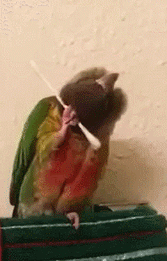 1453318522-0b7a66bc5dde9eafb5c68cd6c5f3a410