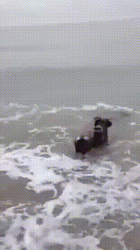 0_1a9b43_86ab8574_orig