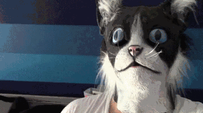 Kote_razbegayutsya (1)