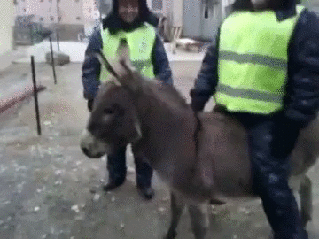 CaNZUkEUMAAEsHV