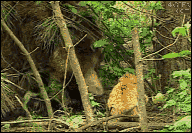 e088d39e30694c588f9aadddac30023d