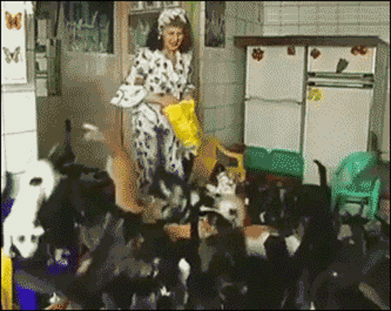 4b64c79fdd0ec1d2_cat-lady