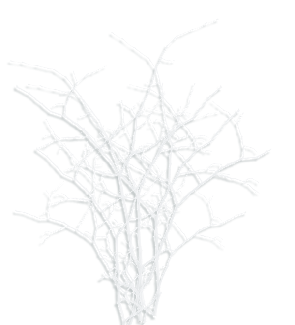 432