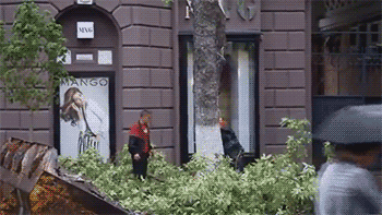 Fungif11_08