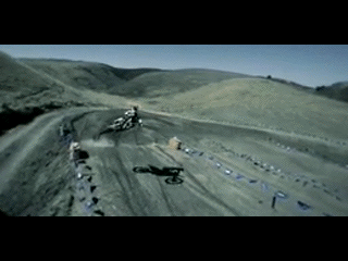 Fungif_25