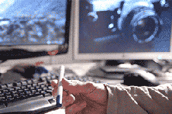 Fungif_211116 (1)