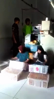 gifs_02b