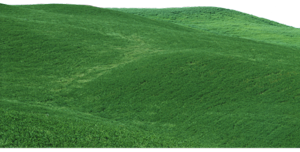 0_f6370_e41c9521_orig[1]