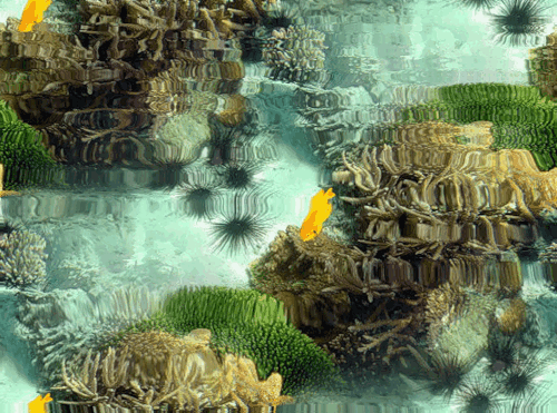 0_7f2ff_79f3f449_XXXL