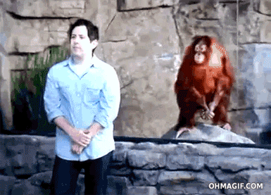 c8ed3ce4a7d4c9320b0173f59b5