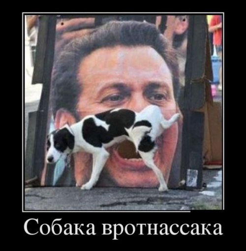 1345448203_demotivatory-5