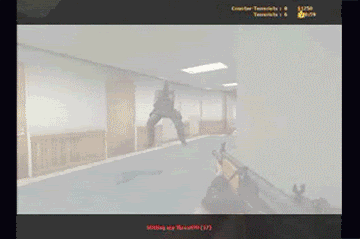 JeanClaudeVanDammesCounterStrike