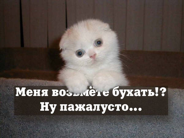 1d42584b-19de-471a-b77e-e88c50705564