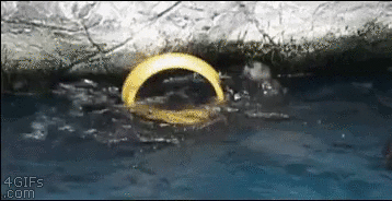 9GAG_Gifs_-_This_careless_dummy-697956431421689856