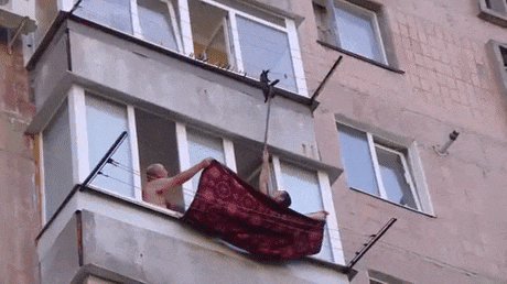 спасение кота