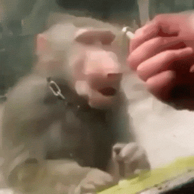 f24720a8122e5fde1623e5d6c459f7ea