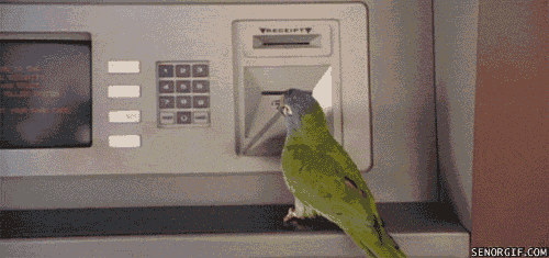 gifs_11