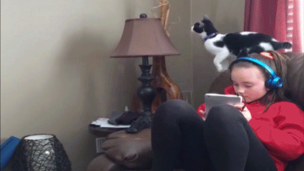 gifs_17