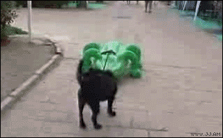 gifs_26