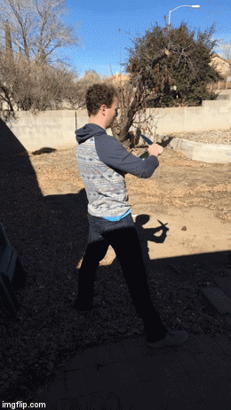 gifs_53