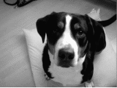 m_6d17ccbe3f9e9a916b410620d6aee1bb