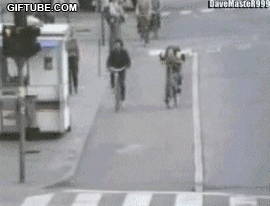 1267110295_1260436572_5349