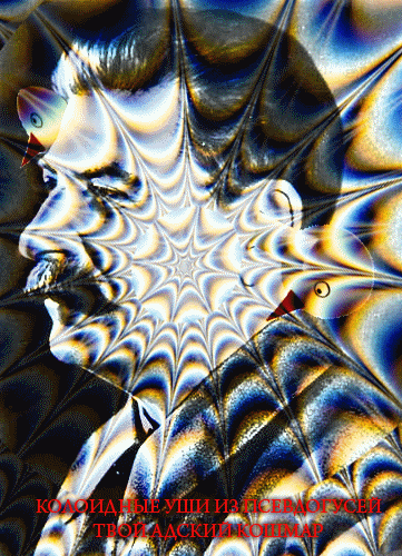 19fe58744a5c01b732cd1f07944396ae