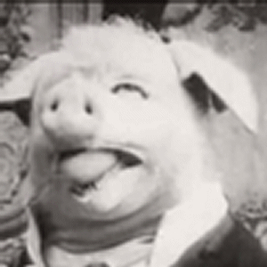 2009_03_06_10_51_784258_1