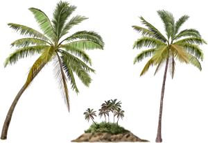 0_f44f5_5428b7f9_orig[1]