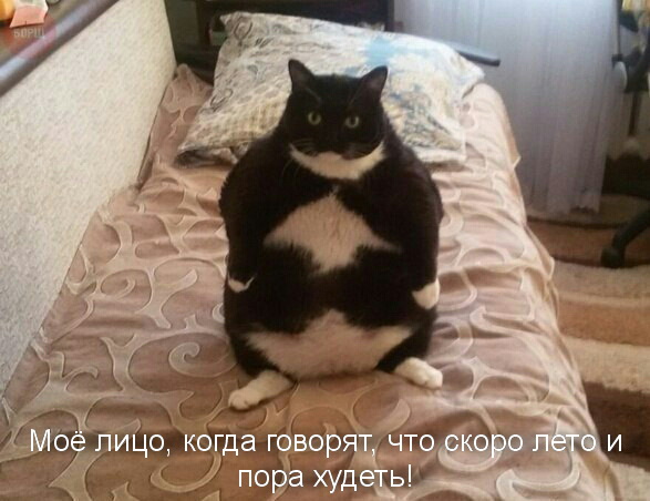 image-ee8907b960f67ca0b361abc6ba68c9ea85b2a227f1d98853ee12ca0eb5cd7261-V