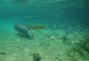 NEWS_-_--699913892940611588