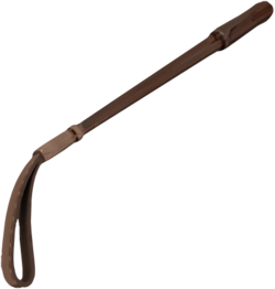 250px-Disciplinaryaction