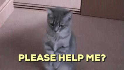 pleading-cat