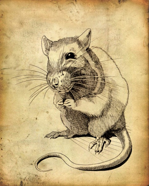 Henry 