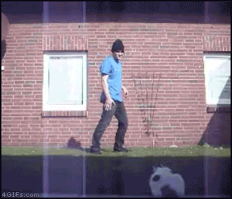 Cat_attacks_Breakdancer