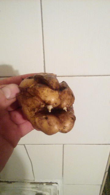 IMG_20160221_190603 (1)