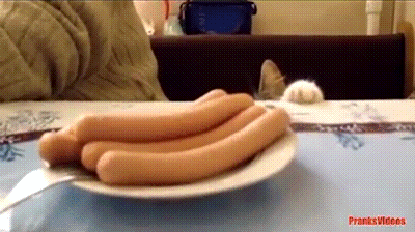 0eee27f874c1d7a8ee1d50e71edfad32