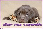 под охраной