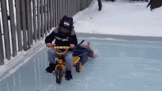 a184f12fc9a758e3a61ffc9f76d