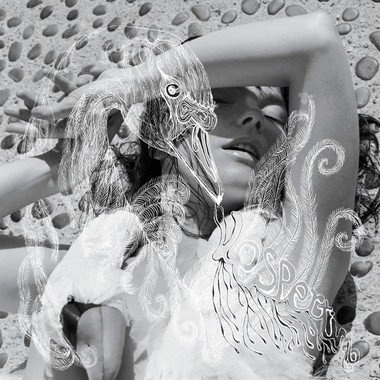 Bjork-Vespertine