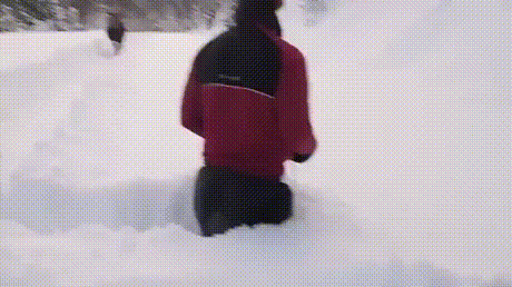 aVP0e4v_460sv