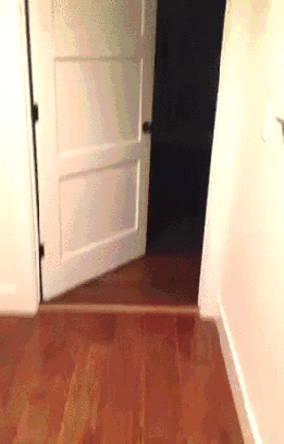 In+the+act_9cf256_5846393