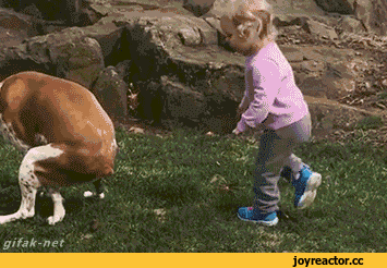 -собаен-запор-доброта-2118908