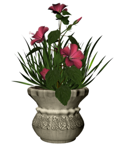 0_11c957_51f5cdfc_orig[1]