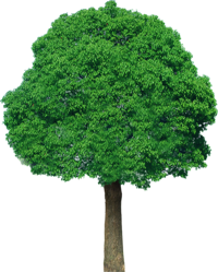 0_f3ec1_eefca6f2_orig[1]
