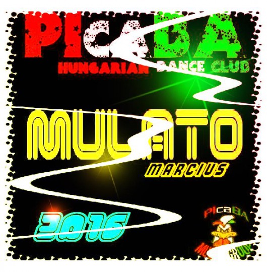 PIcaBA Group - VA Mulató 2016
