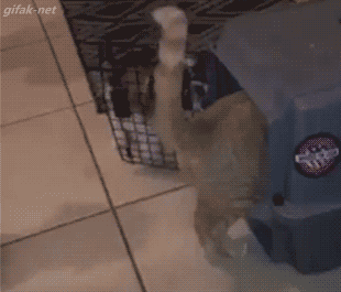 ! И задвижку закрой