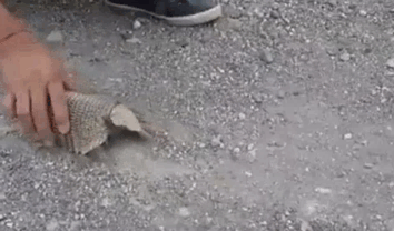 Бронепоезд